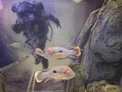 -常州海昌海洋探索馆