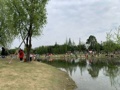 -两河城市森林公园