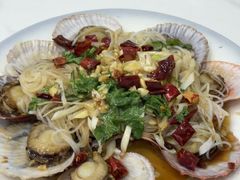 蒜蓉扇贝-来之顺海鲜菜馆·青岛菜·始于1993(栈桥店)