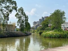 -江门古劳水乡旅游区