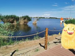 -亿利库布其七星湖沙漠生态旅游区