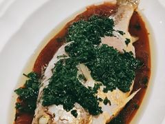 古法清蒸野生大黄鱼-福1015(愚园路店)
