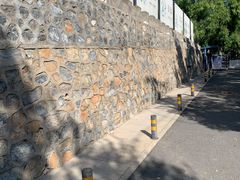 -云岗森林公园