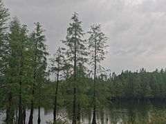 -白鹭湾湿地公园