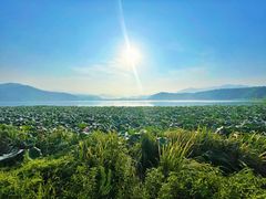 -东钱湖旅游度假区