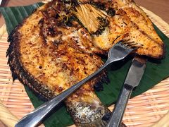 香茅草烤罗非鱼-云海肴·汽锅鸡·云南代表菜(东坝金隅店)