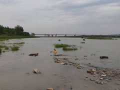 -绿堤公园