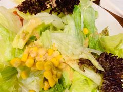 -新龙船黄浦江餐饮游船官方自营店