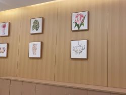 -北京嘉禾国际母婴产后康复中心(南苑中心店)