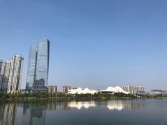 -茶颜悦色(金茂览秀城LG层外街店)