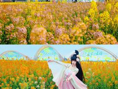 -中国天府农业博览园