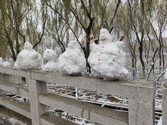 -大兴滨河森林公园