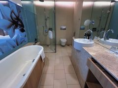 -樟宜机场皇冠假日酒店 （SG Clean） - IHG 旗下酒店