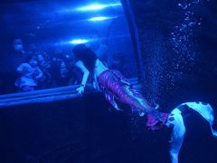 -太平洋海底世界