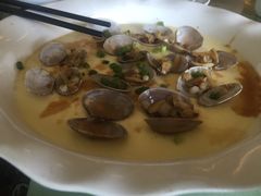 蛤蜊蒸水蛋-京都老蔡记(瑞达路店)