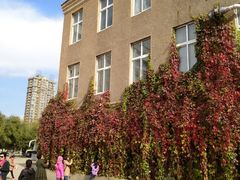 -辽宁大学(崇山校区)