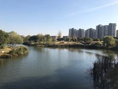 -新江湾城公园