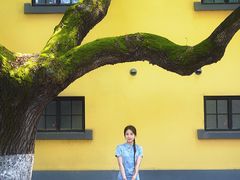 -Le Siècle.百年西餐厅(颐和公馆店)