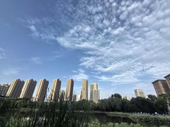 -木塔寺遗址生态公园
