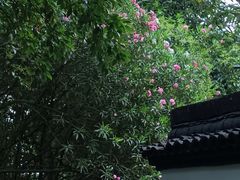 -吴山景区