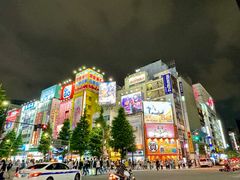 -秋叶原电器街