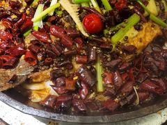 板烧鱼-老板恋上鱼(荣盛广场店)