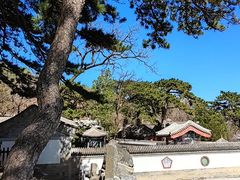 -阳台山自然风景区