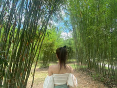 -深圳仙湖植物园-停车场