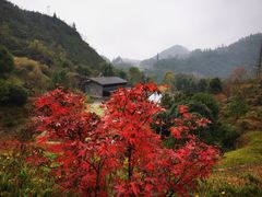 -中国黔江城市大峡谷