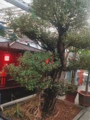 点击看大图 -特味村·宴会厅(生态园店)