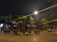 -成飞公园