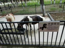 -蓝可可亲子乐园(北苑店)