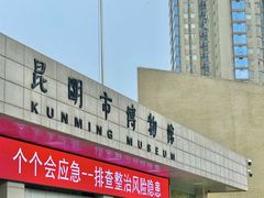 -昆明市博物馆(昆明市文物保护和考古研究中心)