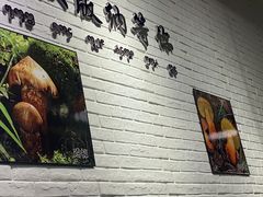 -菌乡缘·野生菌蒸汽鱼火锅(江边夜市店)