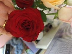 -循礼门鲜花花市(武汉循礼门店)