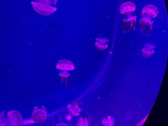 -沈阳海洋探索中心