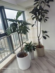 -HEYAN荷妍专业脱毛连锁机构