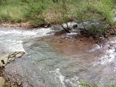 -楠溪江石桅岩