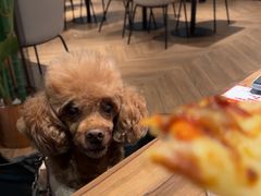 -必胜客(城西银泰店)