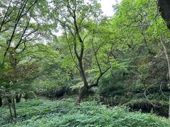 -句容茅山景区