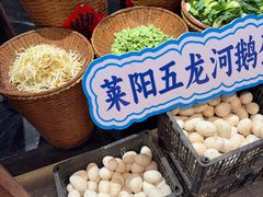 -单家老院·院子里的青岛菜(沙子口店)