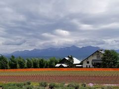 -富田农场
