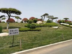 -中国唐苑