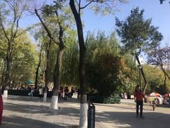 -莲湖公园