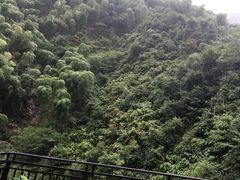 -将军关探险漂流