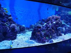 -成都浩海立方海洋公园