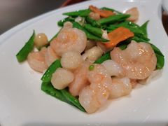 清炒贝仁-都一处 (方庄店)