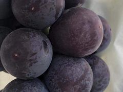 -马陆小张葡萄园农家乐