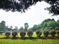 -保利石象湖景区