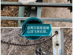 -北京凤凰岭